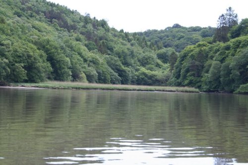 18 above Ballynatray E The east bank above Ballynatray