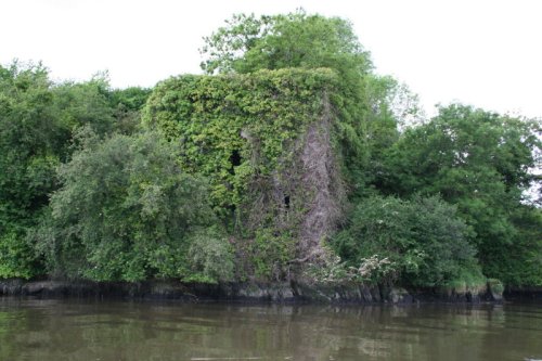 20 Old Strancally Castle becomes visible through trees that hid it from downstream Old Strancally Castle