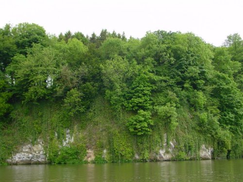 34 a steep bank above dromana Mini-cliff above Dromana
