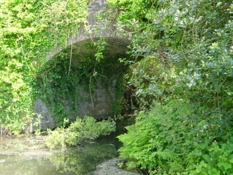 50 bridge over lismore canal Lismore Canal bridge