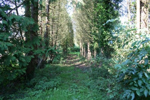 55 hard to see janeville quay on R furthest upstream Janeville Quay