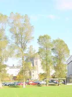 ... with an ethereal, evanescent quality ...