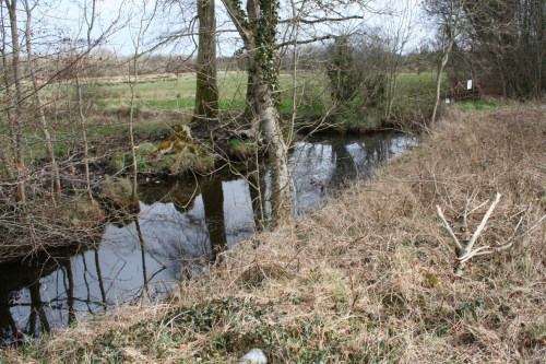 img_4934_resize Another ditch?