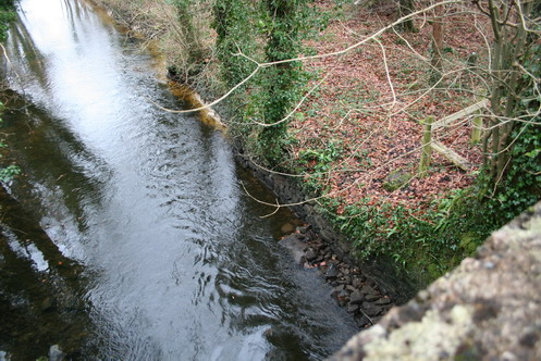 looking-downstream-from-the-canal-bridge Looking downstream from the bridge