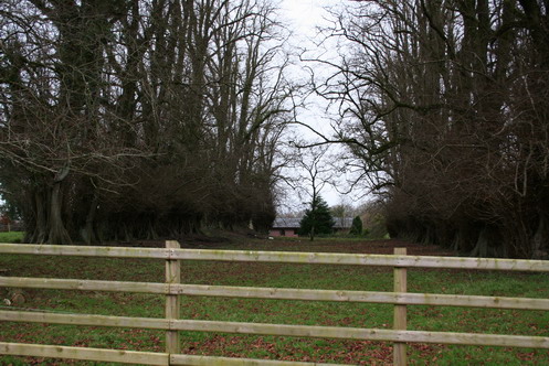 rockville-looking-from-house-site-away-from-canal-6r The avenue
