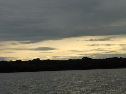 ... the simple contrast ...