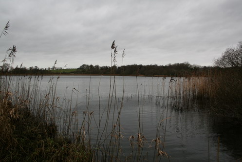 the-small-arm-of-lough-nahincha-closest-to-rockville-house The canal joins Lough Nahincha