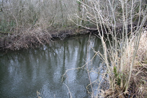 walking-back-downstream-along-the-canal-from-arm-of-lough-nahincha The canal towards Lough Nahincha