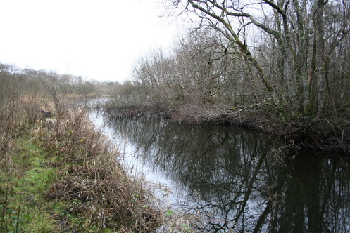 walking-upstream-along-the-canal-to-arm-of-lough-nahincha-8r Looking along the canal towards Lough Nahincha