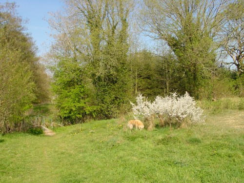 The little bridge leads up the river bank