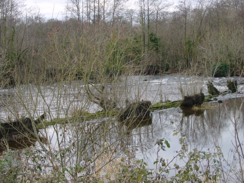 castleconnell-weir-2 The weir at Castleconnell