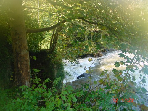 clodiagh-below-weir The Clodiagh below the weir