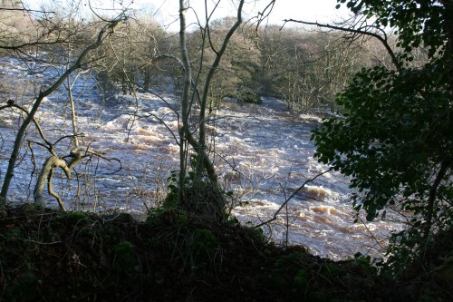 The (much diminished) Falls of Doonass
