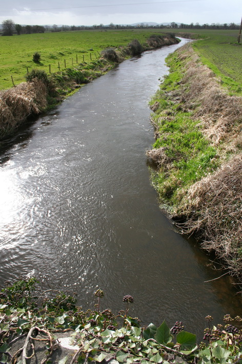 The Finnery flows towards its junction with the Barrow