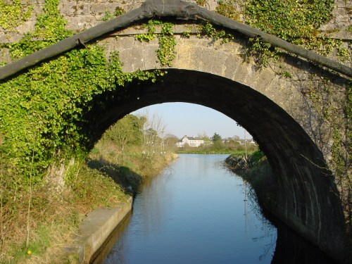Looking back towards Monasterevan