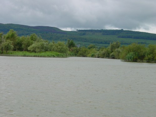 prob-mouth-of-clodiagh-03 Where the Clodiagh joins the Suir