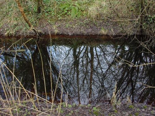 the-canal-at-the-worlds-end-1 Well-defined edges