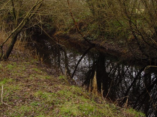 worlds-end-canal-castleconnell-5 The canal