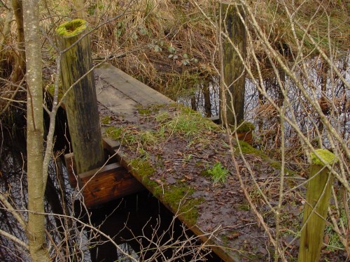 worlds-end-canal-castleconnell-9 A wooden bridge