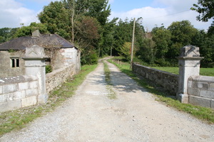 Then the real gem ...