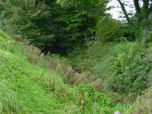 ... is more declivity