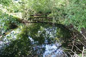 ... there is even water!