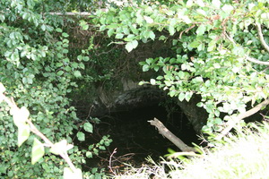 You can just about see the bridge arch through the leaves