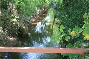 ... there's water again