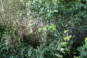 Looking down into the lock 2
