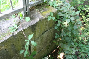 Some of the stonework 1