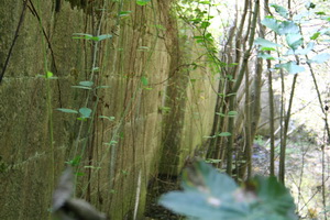 Taken from the bottom of the lock 2