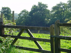 The river is very close to the south side of the road here