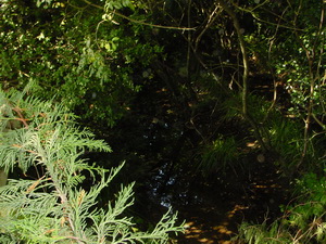 ... yet another hint of water