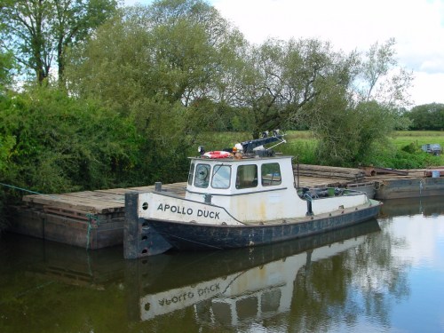 apollo-duck-11_resize Apollo Duck