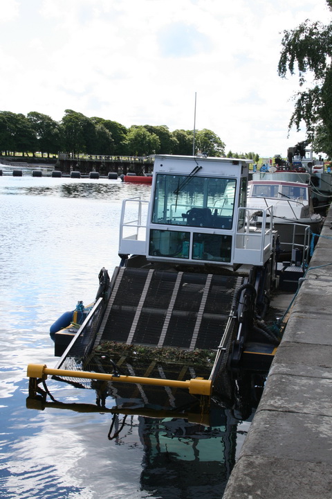 Berky weedcutter in Athlone July 2010 1_resize