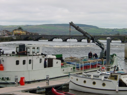 coill-an-eo-limerick-2003-03_resize Coill-an-Eo in Limerick