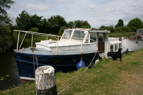 Delight at Shannon Harbour 1_resize Delight at Shannon Harbour June 2009. Could this (like Lady Josephine, below) be an ex-Broads hire-boat?