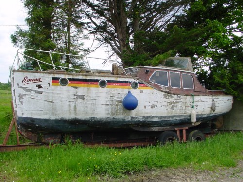 emina-near-cloondavaun-01_resize1 A few years later, Emina lies rotting in a field near Cloondavaun on Lough Derg