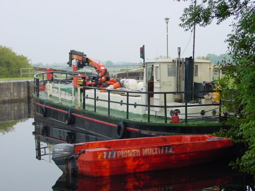 fox-at-tarmonbarry-2006-01_resize Fox at Tarmonbarry