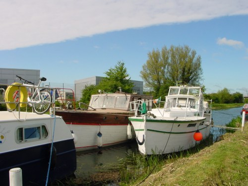kildare-tree-class-at-filter-beds_resize Cirrus and Glare of Light at the filter beds on the Grand Canal