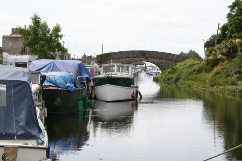Lady Josephine 1_resize Lady Josephine bows on