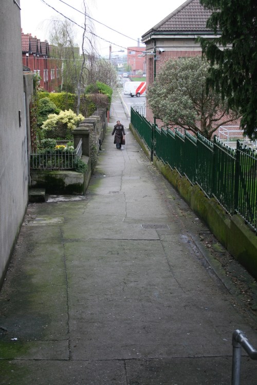 Looking north up the lane 2