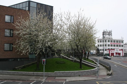 Looking from the Broadstone across the absent aqueduct