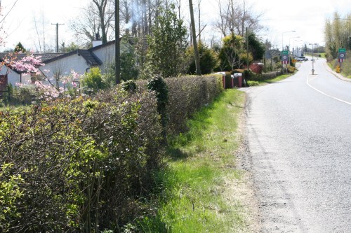 Looking south to Newtown Cross