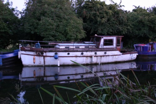Nadia at Hazelhatch1_resize Nadia at Hazelhatch at dusk