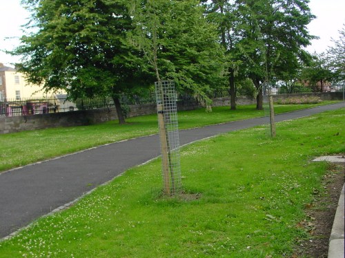 Approaching the southern end of the Royal Canal Bank