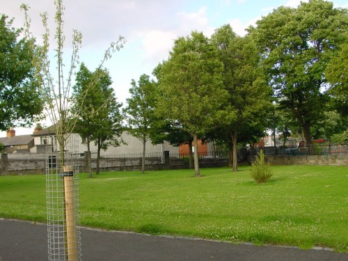 Triangular patch north of Western Way