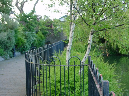 Looking north along the western edge of the basin
