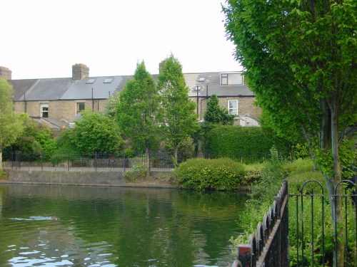 Looking towards the south bank of the basin