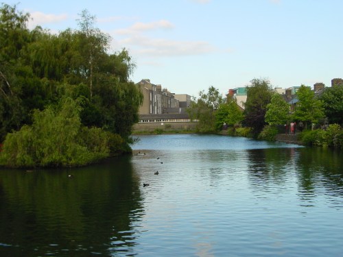 Looking south-east across the basin